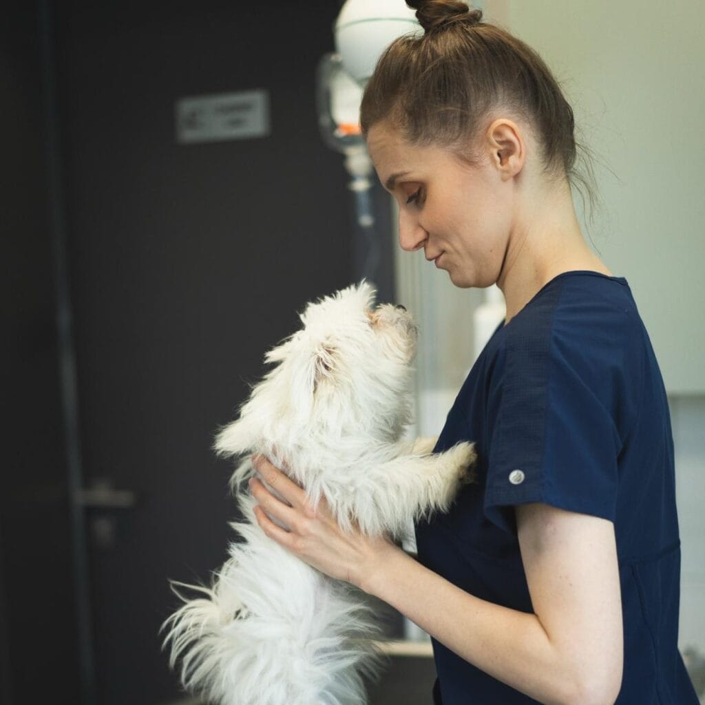 lek. wet. Anna Dobrowolska-Walas zooVET Gryfice