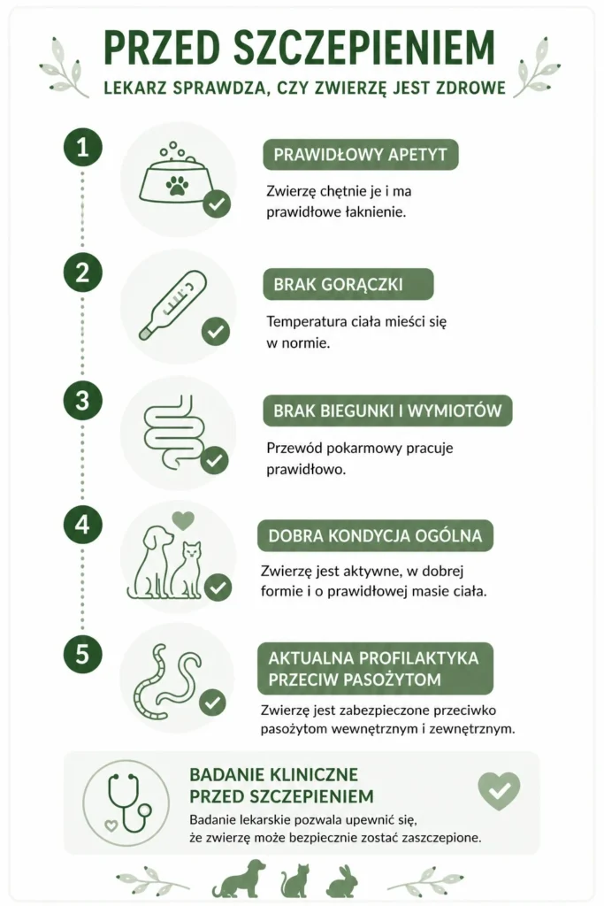 Szczepienia psów, kotów i królików – profilaktyka chorób zakaźnych | zooVET 2 Badanie psa lub kota przed szczepieniem jest obowiązkowe.